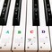 Coyaho Piano Keyboard Stickers for 88/61/54/49/37 Key, Bold Large Letter Piano Stickers for Learning, Removable Piano Keyboard Letters, Notes Label for Beginners and Kids, Multicolor.
