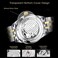 A ALPS Men&rsquo;s Watch Black Mechanical Stainless Steel Skeleton Waterproof Automatic Self-Winding Roman Numerals Diamond Dial Wrist Watch.