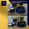 Barnabas Blattgold Gilding Adhesive and Sealer Set - Gilding Adhesive (60mlGold Leaf Sealer (High Gloss, 60mlplus 2 gilding brushes.