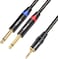 Tisino 3. 5mm to 6. 35mm Stereo Cable, Mini Jack TRS Stereo to Dual 6. 35mm TS Mono Y-Splitter Audio Cable Aux to Jack Breakout Cord Lead - 3m.