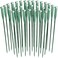 Bright Creations 30 Pack Stem Water Tubes for Flowers with Caps, Extendable Vials for Floral Arrangements, Florist Supplies (12 in.