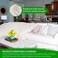 GREEN LIFESTYLE All Purpose Canvas Drop Cloth - Canvas Tarp, Canvas Fabric Drop Cloth Curtains, Drop Cloth for Painting, FloorFurniture Protection, Painters Drop Cloth, Paint Drop Cloth (Canvas Sheet