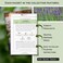 Sow Right Seeds Large Herbal Tea Garden Seed Collection for Planting - Lemon Balm, Mint, Chamomile, Lavender, Echinacea, Borage, Hyssop, Calendula, and Holy Basil Tulsi - Non-GMO Heirloom to Grow.
