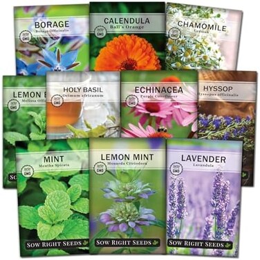 Sow Right Seeds Large Herbal Tea Garden Seed Collection for Planting - Lemon Balm, Mint, Chamomile, Lavender, Echinacea, Borage, Hyssop, Calendula, and Holy Basil Tulsi - Non-GMO Heirloom to Grow.