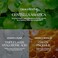VT COSMETICS Daily Soothing Mask 30eaFacial Sheet Mask for MoistHydrating, 30 Day Supply, Centella Asiatica Face Mask, Instant CalmGlow, Korean Skincare.