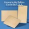 Woodpeckers Baltic Birch Plywood, 3 mm 1/8 x 12 x 20 Inch Craft Wood, Pack of 6 B/BB Grade Baltic Birch Sheets, Perfect for Laser, CNC Cutting and Wood Burning,.