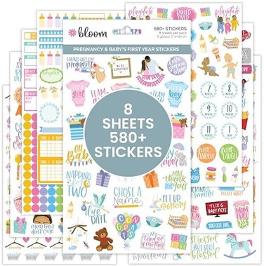 bloom daily planners New PregnancyBaby's First Year Planner Sticker Pack - 8 Sheets / 580Stickers - Maternity/Newborn Themed Stickers for Decorating, Planning, Scrapbooking, etc.