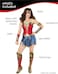 Rubie's womens Dc Comics Wonder Woman 84 Costume Set Adult Sized Costumes (pack of 1.