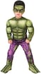 Rubie's Rubies baby-boys Marvel Super Hero Adventures Deluxe Costume Infant and Toddler Costumes.