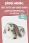 Living Nature Grey Dutch Lop Eared Rabbit Stuffed AnimalFluffy Rabbit AnimalSoft Toy Gift for Kids10 inches.