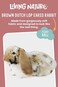 Living Nature Brown Dutch Lop Eared Rabbit Stuffed AnimalFluffy Rabbit AnimalEaster BunnySoft Toy Gift for Kids10 inches.