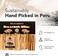 LOTS OF ZEN Palo Santo Sticks Authentic (20 Pack100% Natural Incense, High Resin Spiritual Cleansing Palo Santo Matches from PeruWild Harvested, Sustainably Hand Picked.