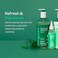 RENPURE Plant Based Tea Tree and Rosemary Refresh and Rebalance Shampoo - Soothes Dry Scalp - Delivers Moisture and Shine - Rids Hair of Grime - Dye Free - Recyclable, Pump Bottle Design - 24 fl oz.