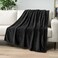 PAVILIA Fleece Blanket Throw Twin SizeSuper Soft, Plush, Luxury Flannel ThrowLightweight Microfiber Blanket for Sofa Couch Bed (Black, 60x80 inches.