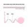 Edtape 2PCS Measuring Tape for Body,Soft Tape Measure for Body Sewing Fabric Tailor Cloth Craft Measurement，60 Inch/1. 5M Retractable Dual Sided Measure Tape Set (Pink.