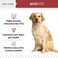 Chew + Heal Labs ChewHeal Labs لعلاج التهاب المسالك البولية للكلاب - 120 مكمل غذائي ناعم من التوت البري لصحة المسالك البولية والتحكم في المثانة - مصنوع من الإشنسا وفيتامين سي - يعمل على تصحيح الاختلال