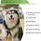 ResQ Organics Hypoallergenic Dog Coat Conditioner- DetanglesSoftens Fur, Calms ItchingDryness, Aloe VeraManuka Honey Soothes The Skin, Reduces Dandruff, Shedding, Scratching and More.