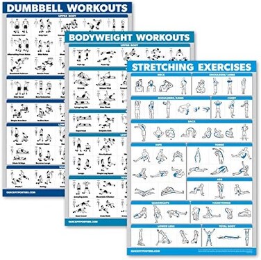 مجموعة Palace Learning QuickFit المكونة من 3 قطع - تمارين الدمبل، تمارين وزن الجسم، مجموعة ملصقات روتين التمدد - مجموعة من 3 مخططات تمارين (مغلفة، 18 بوصة × 27).