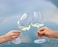Riedel 1234/33 Winewings Sauvignon Blanc Wine Glass, Single Stem, Clear.