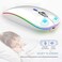 TENMOS Wireless Bluetooth Mouse, LED Slim Dual Mode (Bluetooth 5. 1USB2. 4GHz Rechargeable Silent Bluetooth Wireless Mouse with Type C Adapter for Laptop/MacBook/iPad OS 13 and Above (White.