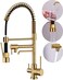 Delle Rosa Kitchen Faucet, 3 Way Drinking Water Faucet, 3 in 1 Water Purifier Faucets, High Arc and Dual Handles Commercial Kitchen Faucet Brushed Gold.