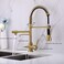Delle Rosa Kitchen Faucet, 3 Way Drinking Water Faucet, 3 in 1 Water Purifier Faucets, High Arc and Dual Handles Commercial Kitchen Faucet Brushed Gold.