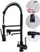 Delle Rosa Kitchen Faucet, 3 Way Drinking Water Faucet, Modern Kitchen Faucet with Pull Down Sprayer, Dual Handles Kitchen Sink Faucet,3 in 1 High Arc Water Filter Purifier Faucets Matte Black.