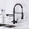 Delle Rosa Kitchen Faucet, 3 Way Drinking Water Faucet, Modern Kitchen Faucet with Pull Down Sprayer, Dual Handles Kitchen Sink Faucet,3 in 1 High Arc Water Filter Purifier Faucets Matte Black.