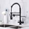 Delle Rosa Kitchen Faucet, 3 Way Drinking Water Faucet, Modern Kitchen Faucet with Pull Down Sprayer, Dual Handles Kitchen Sink Faucet,3 in 1 High Arc Water Filter Purifier Faucets Matte Black.