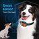 DogRook Rechargeable Dog Bark Collar - Smart, No Shock Dog Training Collar with Noise and Vibration - No Bark Collar - Anti Bark Waterproof Dog Collar - Small, MediumLarge Dog Collar - 12-110 lbs.