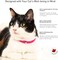 Nuvuq Comfortable, Soft and Light Cat Collar with Breakaway Snap Button (Raspberry Pink.
