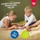 Nene Toys Ladybug&rsquo;s Garden Memory Game &ndash; Wooden Matching Game for Kids Age 3 4 5 Years Old &ndash; Family Game with 10 Fun Patterns &ndash; Educational Toy for BoysGirls Cognitive Development.