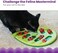 Catstages Petstages Nina Ottosson by Buggin' Out PuzzlePlay - لعبة ألغاز تفاعلية لمكافأة القطط.