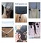 PERCARE 34 Pcs Cord Locks End Spring Toggle Stopper Zipper Pull Ends Fastener Buttons with 18 Yard Elastic Bungee Cord Stretch String for Drawstring, Shoelaces, Pants, Backpack, Bags, Luggage, DIY Cra