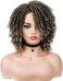 Lady Hanne Dreadlock Wig Short Twist Braids Wigs for Black Women and Men Afro Curly Wig Crochet Twist Braiding Synthetic Wig African Hairstyle(1B/27.