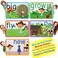 SpringFlower Sight Words Flash Cards with Pictures,MotionsSentences, 220 Dolch Sight Words for Preschool, Kindergarten, 1st, 2nd3rd Grade. Homeschool, Learn to Read, Phonics Learning,235 Pieces.