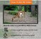 GardePro A3S Trail Camera, 64MP 1296p Game Camera with Clear 100ft No Glow Night Vision, Fast 0. 1s Trigger Speed Motion Activated Waterproof, H. 264 MP4 Video.