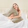 BEDELITE Satin Body Pillow Cover, Super Soft and Cooling Body Pillow Pillowcase for Hair and Skin, Breathable Silky Full Long Pillowcase Cover(20"x54", Taupe.