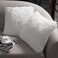 NordECO HOME Luxury Soft Faux Fur Fleece Cushion Cover Pillowcase Decorative Throw Pillows Covers, No Pillow Insert, 20" x 20" Inch, White, 2 Pack.