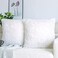 NordECO HOME Luxury Soft Faux Fur Fleece Cushion Cover Pillowcase Decorative Throw Pillows Covers, No Pillow Insert, 20" x 20" Inch, White, 2 Pack.