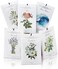 MYARO 12 Packs Scented Sachets for Drawer and Closet.
