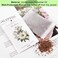 MYARO 12 Packs Scented Sachets for Drawer and Closet.