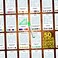 100 PICS Pocket Word Search GameKids GamesCard GamesFun Travel GamesToysGamesCard Games for Adults and KidsFamily GamesBeach GamesWord GamesKids TravelAges 6.