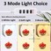 DUCLUS 12x12 Photo Studio Light Box Kit with 80pcs LED Beads, 6 Color Backdrops, Plastic Material, White Color, Light Box Style.