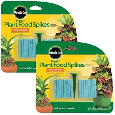 أعواد تغذية نباتات الزينة الداخلية Miracle-Gro BLUEBELLS، تتضمن 48 عودًا - تغذية مستمرة لجميع نباتات الزينة المزهرة والورقية - NPK 6-12-6 (عبوة من قطعتين).