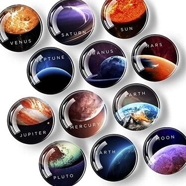 X-bet MAGNET Decorative for Fridge &ndash; Glass for Refrigerator &ndash; Cute Fridge for Office and Kitchen &ndash; Succulent Whiteboard for Locker.