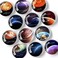 X-bet MAGNET Decorative for Fridge &ndash; Glass for Refrigerator &ndash; Cute Fridge for Office and Kitchen &ndash; Succulent Whiteboard for Locker.