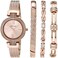 Anne Klein Women's Premium Crystal Accented Watch and Bracelet Set, AK/3584.