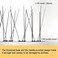 OFFO Bird Spikes with Stainless Steel Base.