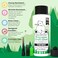 Bearly Art Precision Craft Glue - The Mini - 2fl oz with Tip Kit - Dries Clear - Non-Toxic - Metal Tip - Wrinkle Resistant - Flexible and Crack Resistant - Strong Hold Adhesive - Made in USA.